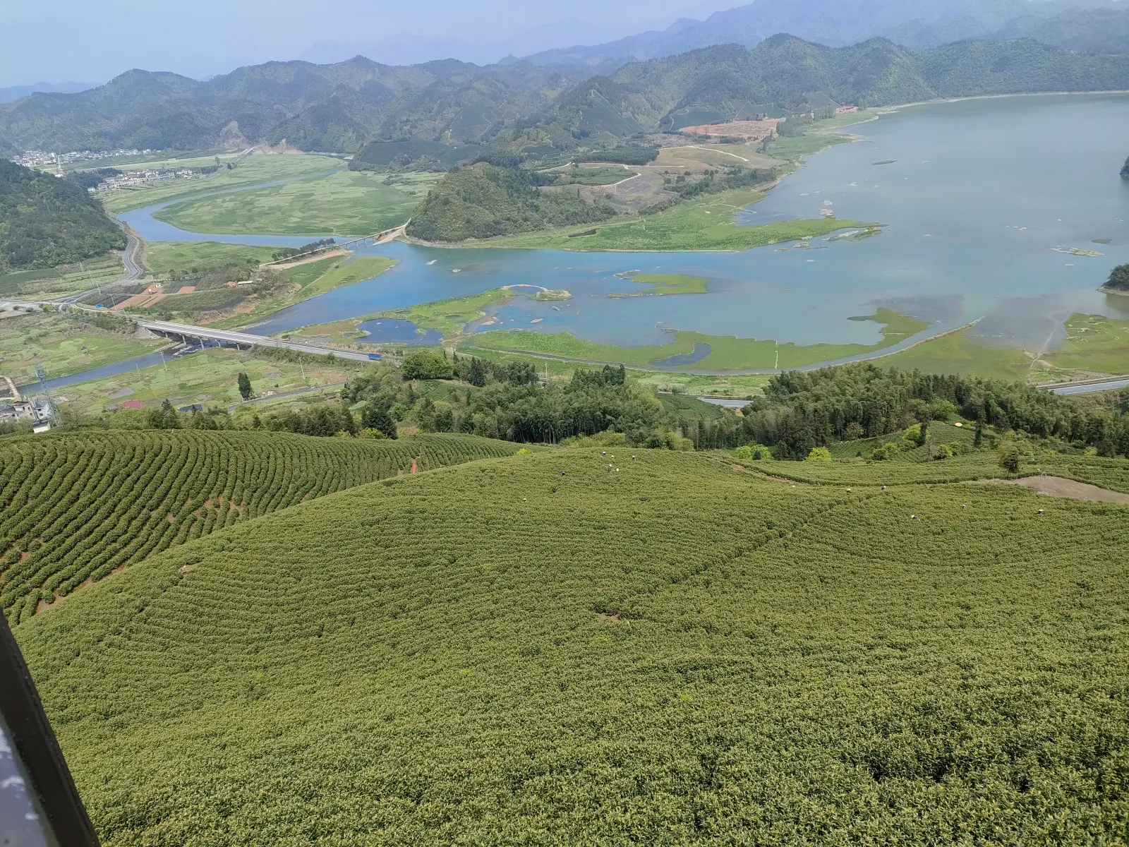 茶田与碧湖